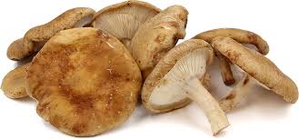 shittake mushrooms 